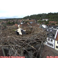 16_15-nest.jpg