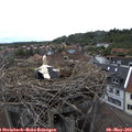 16_30-nest.jpg