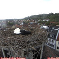 17_15-nest.jpg
