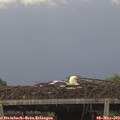 17_45-mast.jpg