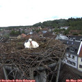 17_45-nest.jpg