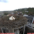 18_10-nest.jpg
