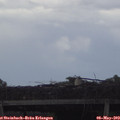 18_20-mast.jpg