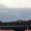 18_40-mast.jpg