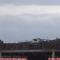 18_50-mast.jpg