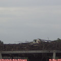 18_55-mast.jpg