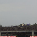 19_00-mast.jpg
