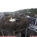 19_00-nest.jpg
