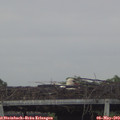 19_30-mast.jpg