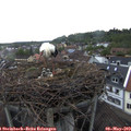 19_40-nest.jpg