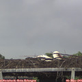 19_45-mast.jpg