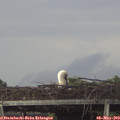 20_05-mast.jpg