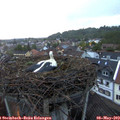 20_40-nest.jpg