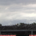 05_55-mast.jpg