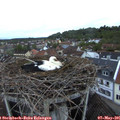 05_55-nest.jpg