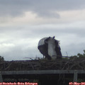 06_00-mast.jpg