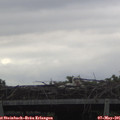 06_05-mast.jpg