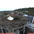 06_05-nest.jpg