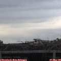 06_10-mast.jpg