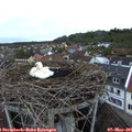 06_10-nest.jpg