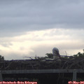 06_15-mast.jpg