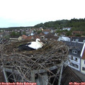 06_20-nest.jpg