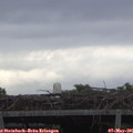 06_30-mast.jpg