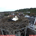 06_35-nest.jpg