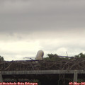 06_40-mast.jpg