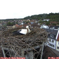06_40-nest.jpg