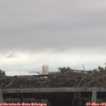 06_45-mast.jpg