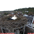06_50-nest.jpg
