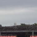 06_55-mast.jpg