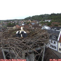 07_10-nest.jpg