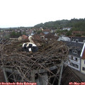 07_25-nest.jpg