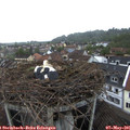 07_45-nest.jpg