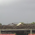 08_40-mast.jpg