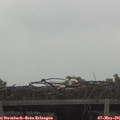 09_00-mast.jpg