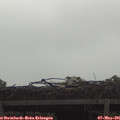 09_05-mast.jpg