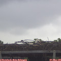 09_20-mast.jpg