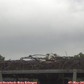 09_30-mast.jpg