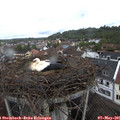 09_40-nest.jpg