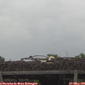 09_50-mast.jpg