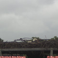 09_55-mast.jpg