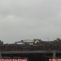 10_00-mast.jpg