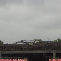 10_05-mast.jpg