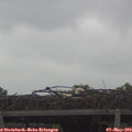 10_10-mast.jpg