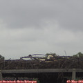 10_15-mast.jpg