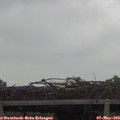 10_25-mast.jpg