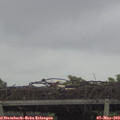 10_35-mast.jpg